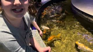 We Pet A Shark At The Aquarium !