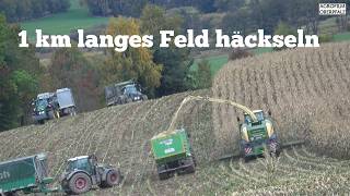 30 Min PURE HÄCKSELLUST - 1 km langes Feld muss weg - Frauenpower -Krone BigX 630 - C-Dietl.lu