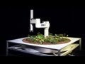 Surgical Robotics Project Insights