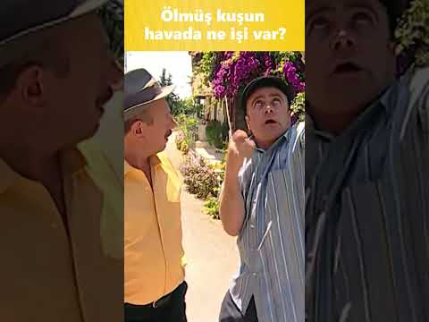 Ölmüş Kuşun Havada Ne İşi Var? 😂😂 | Fıkralarla Türkiye