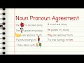 Noun Pronoun Agreement Challenge