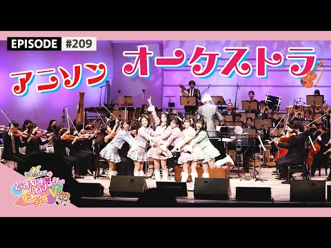 [Tokibaro TV] #209 Appeared in the first orchestra live 🎻🌟 [Ani-song-New Year SPECIAL-Gala Concert 2023-in Tokyo Bunka Kaikan]