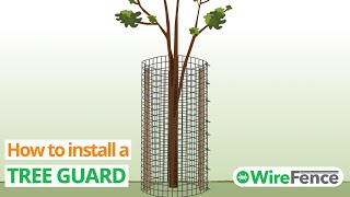 Video thumbnail for How to install a tree guard (and build from scratch)