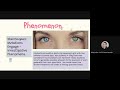 Understanding Mutations and Genetics