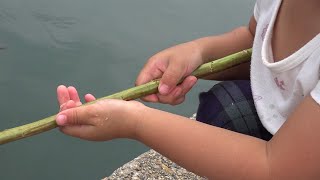 釣りを教えてみました