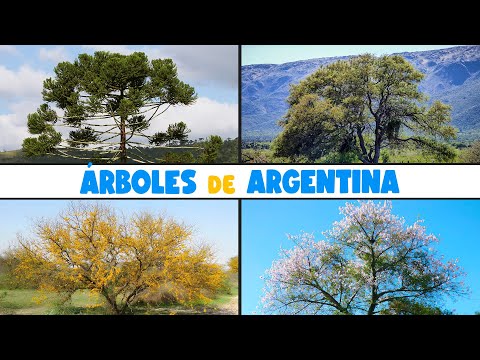 10 ÁRBOLES AUTÓCTONOS de ARGENTINA