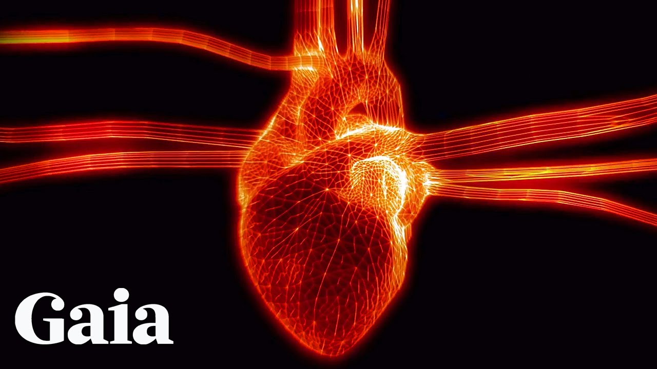 The Science of Heart-Brain Harmony