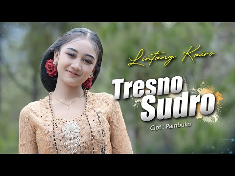 Lintang Kairo - Tresno Sudro | Abote wong nandang tresno (Official Music Video)