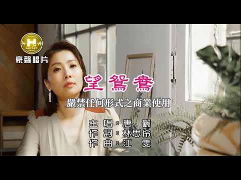 唐儷-望鴛鴦【KTV導唱字幕】1080p HD