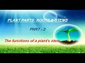 Plant Structure and Function Assessment
