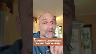 Leckerli bei Pöbelei: Belohnung oder Hilfe? 🤔