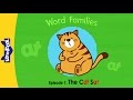 Understanding Cats and Rats in Videos