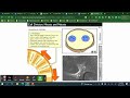 Mitosis and Meiosis Concepts