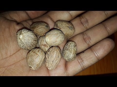 रातों-रात कमर के दर्द को गायब करने का रामबाण घरेलू नुस्खा || 100% कारगर || Back Pain Home Remedy ||