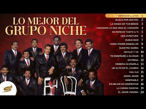 Lo Mejor Del Grupo Niche - Salsa Power