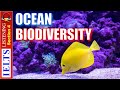 Marine Conservation and Biodiversity Assessment