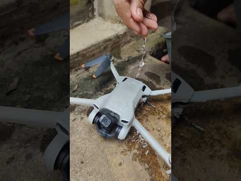 DIKIRA BURUNG PAS DI MANDIIN TERNYATA DRON