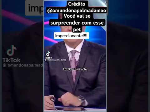 A policial #cachorros #noticias #pets foi impedida de entrar na sua própria viatura.confira isso