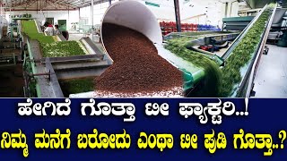 ಹೇಗಿದೆ ಗೊತ್ತಾ ಟೀ ಫ್ಯಾಕ್ಟರಿ..! ನಿಮ್ಮ ಮನೆಗೆ ಬರೋದು ಎಂಥಾ ಟೀ ಪುಡಿ ಗೊತ್ತಾ..?