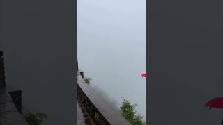 Monkey's Umbrella Stunt Goes Completely Wrong #funny #viral