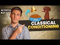 Classical Conditioning Concepts