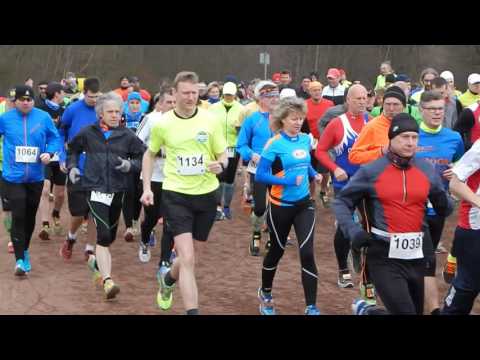 springe deister marathon