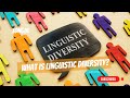 Linguistic Diversity and Language Preservation