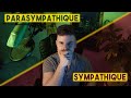 Neurotransmetteurs et Système Nerveux Autonome