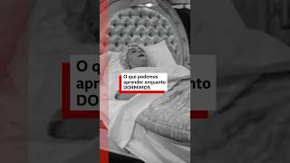 O cérebro aprende enquanto dorme? 😴🧠✍️