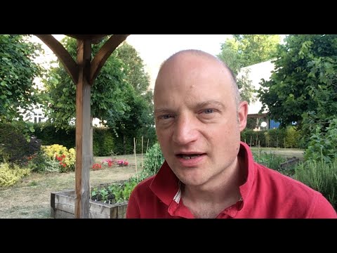 Livestream for Monday, 1 June 2020 - 07:00