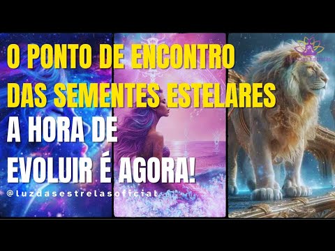 ATENÇÃO SEMENTES ESTELARES ESTE É O PONTO DE ENCONTRO