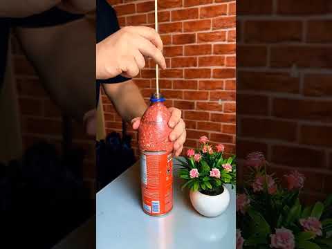 Useful Kitchen Hacks Wish You Know #shortvideo #lifehacks #shorts