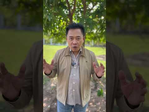 ทำหมันพรรคลุง