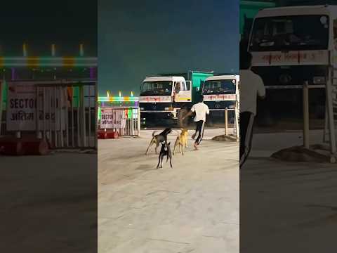 Dog is😭🥹best friend 🐶ever or maaf Karna 😱#viraljump #doglife #doglove #dogshorts #dogtraining