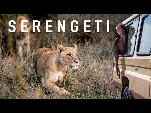Is a Serengeti Safari Worth It? (Honest Opinion)