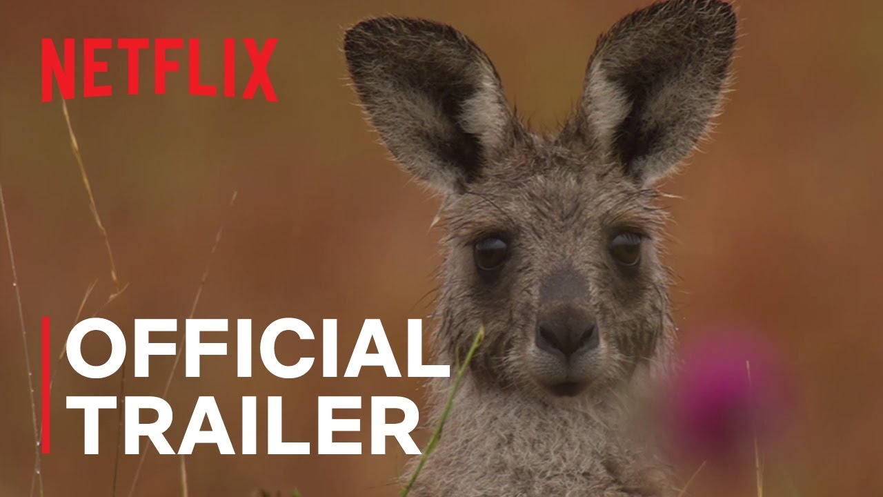 Kangaroo Valley Trailer thumbnail