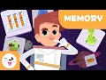 Memory Challenge: Picture Locations