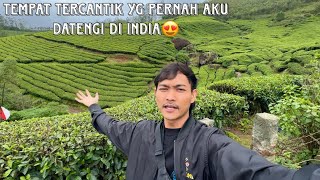 GANYANGKA NEMU TEMPAT SECANTIK INI DI INDIA😍HAMPARAN KEBUN TEH,DIPAKE SHOOTING FILM,ADA DANAU NYA🥳⛰️