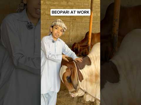 Kamai Season Agaya Hai Saeen ๐ฐ #funny #entertament #talhaahmed #shorts #viralshorts