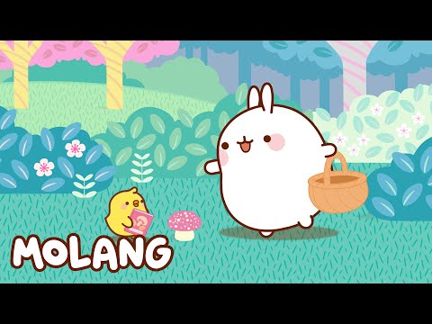 🩵✨ The Forest | Molang | Cartoons for Kids