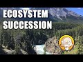 Ecosystem Succession and Management Concepts