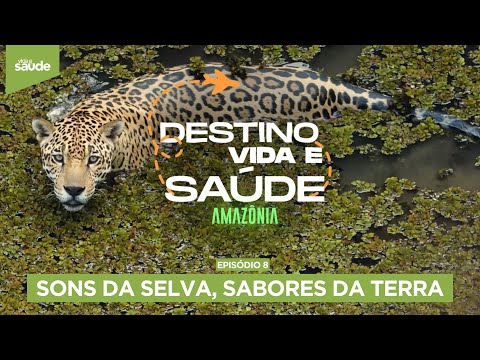 Destino Vida e Saúde - Amazônia - EP 08:  Sons da selva, sabores da terra (24/06/25)
