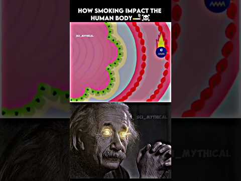 How smoking impact the human body🚬☠️#shorts #physics