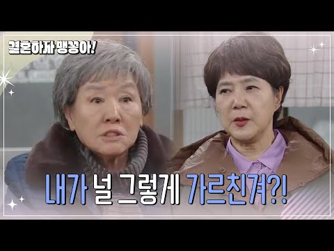 속상한 양미경에게 호통치는 반효정  [결혼하자 맹꽁아!/My Merry Marriage] | KBS 241218 방송