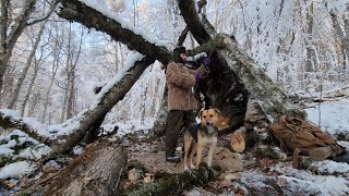 3 DAYS solo survival!! and primitive overnight shelter made from a fallen tree!!