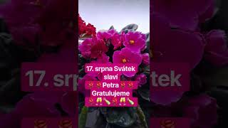 17. srpna 2026