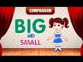 Understanding Big and Small