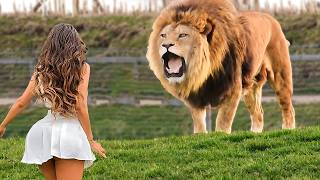 These Animals Found Their Owners After Years!