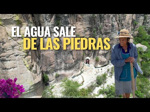 "ANTES HABIA MUCHA VIDA Y HOY NOS ESTAMOS QUEDANDO SOLOS"