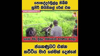 මේවනේ රේස් 😂😂